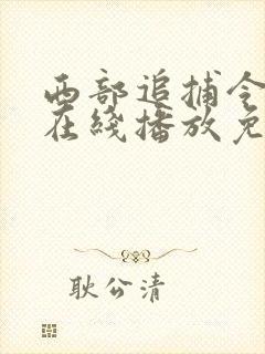 西部追捕令电影在线播放免费观看中文