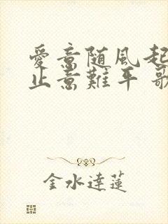 爱意随风起 风止意难平 歌曲