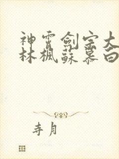 神霄剑宗大师兄林枫苏慕白
