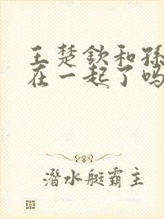 王楚钦和孙颖莎在一起了吗