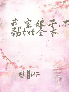 我家娘子,不对劲txt全本