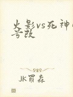 火影vs死神雨兮改