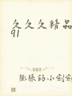 久久久精品国产91