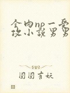 全肉np一受多攻小说男男双性人外