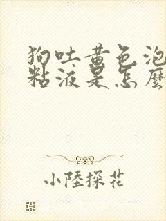 狗吐黄色泡沫状粘液是怎么回事