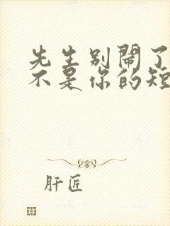 先生别闹了新娘不是你的短剧播放