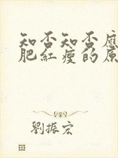 知否知否应是绿肥红瘦的原著