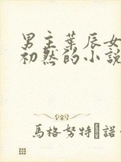 男主叶辰女主萧初然的小说