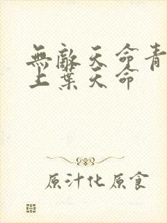 无敌天命青鸾峰上叶天命