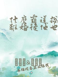 什么霸道总裁,离婚后他也高攀不起我全本