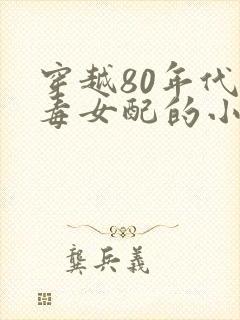 穿越80年代恶毒女配的小说
