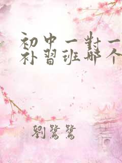 初中一对一数学补习班哪个好