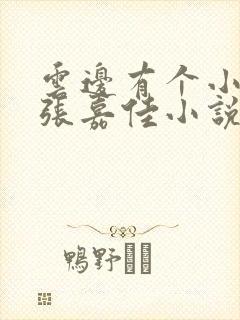云边有个小卖部张嘉佳小说