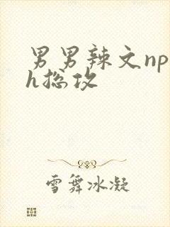 男男辣文np高h总攻