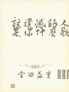 该遗憾的人应该是你什么歌