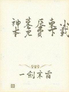 神墓辰东小说全本免费下载
