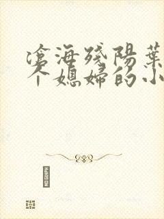 沧海残阳叶凡七个媳妇的小说