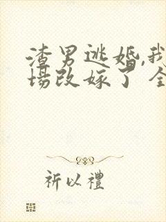 渣男逃婚,我当场改嫁了 全本