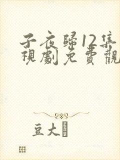 子夜归12集电视剧免费观看全集高清