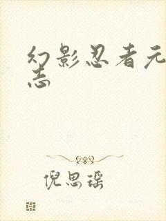 幻影忍者元素标志