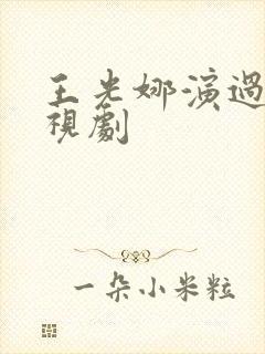 王光娜演过的电视剧