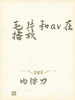 毛片和av在线播放