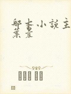 哪本小说主角叫叶晨