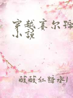 穿越赛尔号话本小说