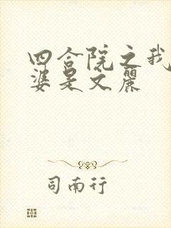 四合院之我的老婆是文丽