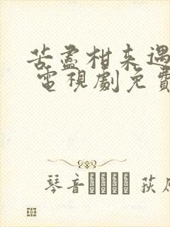 苦尽柑来遇见你 电视剧免费观看中文版