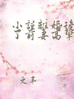 小说离婚后我成了前妻高攀不起的神