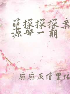 萌探探探案张真源哪一期