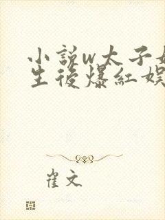 小说w太子妃重生后爆红娱乐圈》