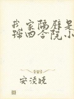 我家隔壁是95号四合院小说