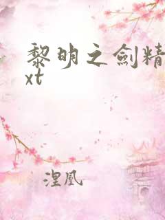 黎明之剑精校txt