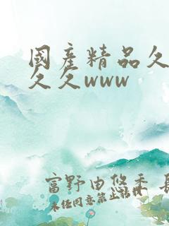 国产精品久久久久久www