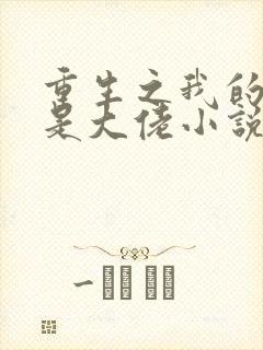 重生之我的老公是大佬小说