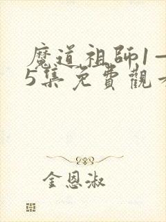 魔道祖师1—35集免费观看