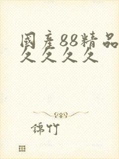 国产88精品久久久久久