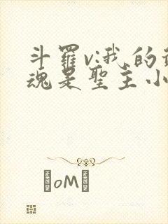 斗罗v:我的武魂是圣主小说