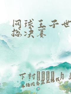 网球王子世界杯总决赛