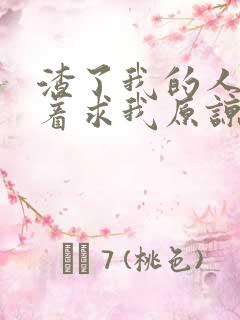 渣了我的人都哭着求我原谅小说