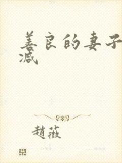 善良的妻子未删减