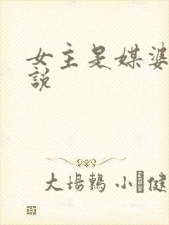 女主是媒婆的小说