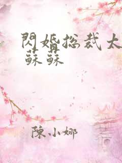 闪婚总裁太霸道 苏苏