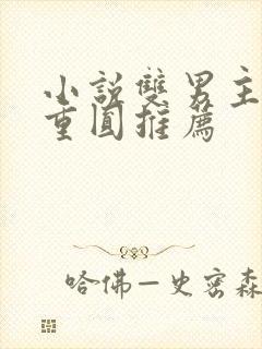 小说双男主破镜重圆推荐