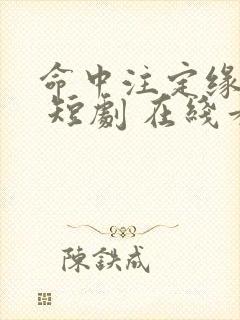 命中注定缘归来 短剧 在线看