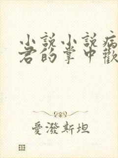 小说小说病娇鬼君的掌中欢