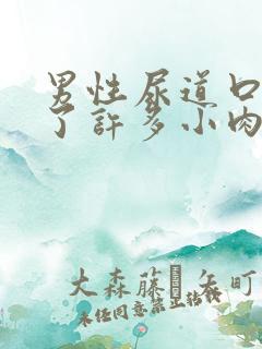 男性尿道口里长了许多小肉粒