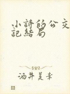 小诗的公交车日记结局